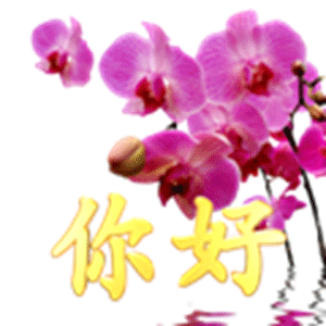 紫色花朵免抠QQ表情你好