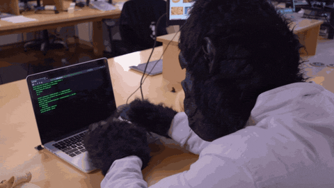 黑猩猩 程序员 敲键盘 适合工作的表情