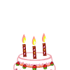送给你的生日蜡烛