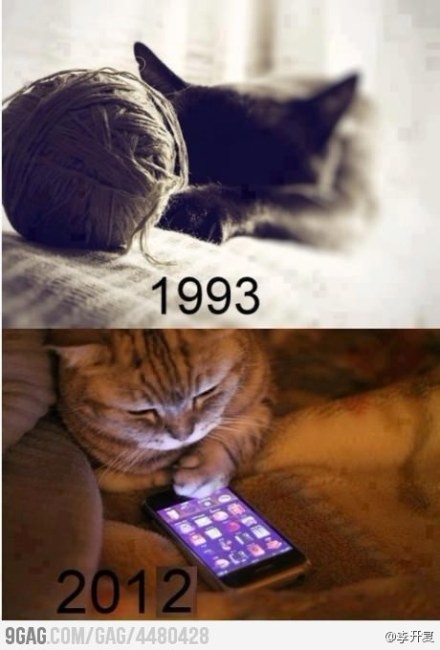 以前的猫咪玩线团，现在玩iPhone