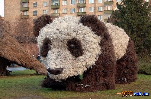 公园里的假冒大熊猫