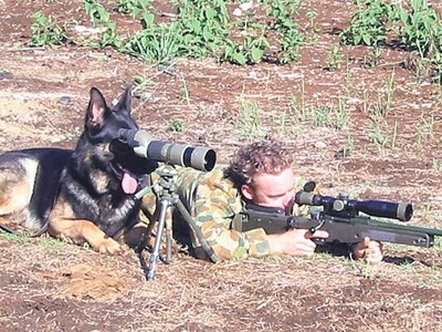 狗狗和人一起瞄准目标